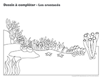 Dessin à compléter-Les crustacés