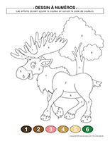 Dessin à numéros-Forêt
