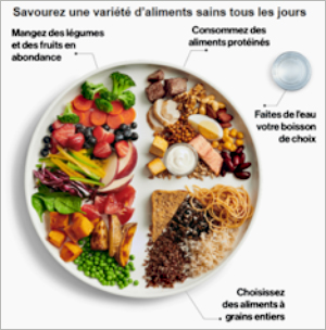 Dossier-Le Guide alimentaire canadien version 2019