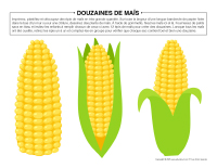 Douzaines de maïs