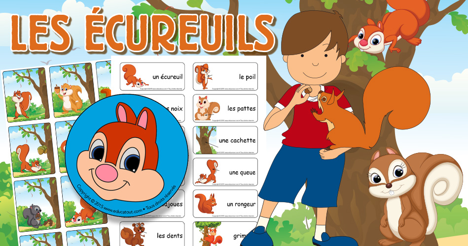 Les écureuils, activités pour enfants.