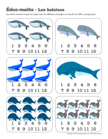 Éduc-Maths-Les baleines