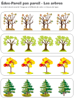 Éduc-Pareil pas pareil-Les arbres