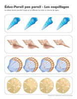 Éduc-Pareil-pas-pareil-Les coquillages Éduc-Pareil-pas-pareil-Les coquillages