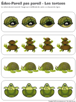 Éduc-Pareil pas pareil-Les tortues Éduc-Pareil pas pareil-Les tortues