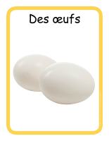 Éduc-affiche-Des œufs