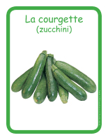 Éduc-affiche-La courgette (zucchini)