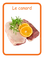 Éduc-affiche-Le canard Éduc-affiche-Le canard