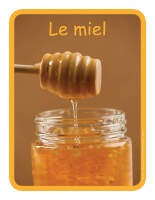 Éduc-affiche-Le miel Éduc-affiche-Le miel