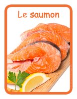 Éduc-affiche-Le saumon