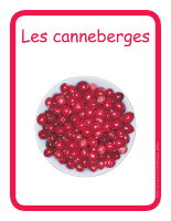 Éduc-affiche-Les canneberges