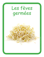 Éduc-affiche-Les fèves germées Éduc-affiche-Les fèves germées