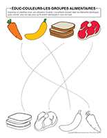 &Eacute;duc-couleurs-Groupes alimentaires
