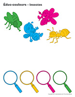Éduc-couleurs-Insectes