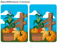 Éduc-différences - Les courges