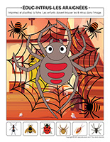 Educ-intrus-Araignees