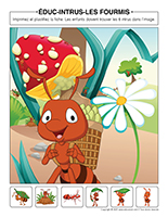 Educ-intrus-Fourmis
