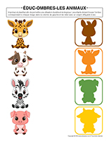 Educ-ombres-Animaux