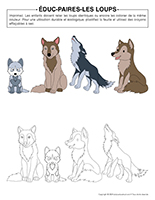 Éduc-paires-Loups