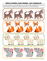 Educ-pareil-pas-pareil-Animaux