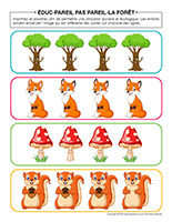 Éduc-pareil-pas-pareil-Forêt
