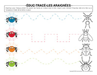 Educ-trace-Araignees