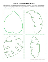 Éduc-tracé-Plantes
