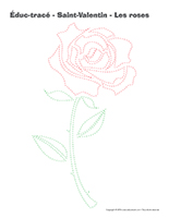 Éduc-tracé-Saint-Valentin-Les roses Éduc-tracé-Saint-Valentin-Les roses