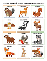 Éduca-boite-a-jaser-Animaux sauvages
