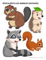 Éduca-déco-Animaux sauvages-1