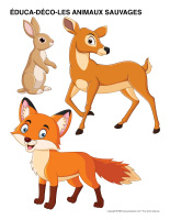 Éduca-déco-Animaux sauvages-3