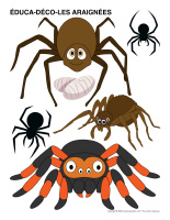 Educa-deco-Araignees-1