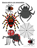 Educa-deco-Araignees-2