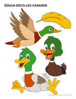 Educa-deco-Canards-2