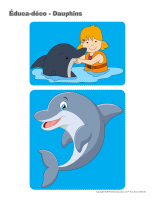 Éduca-déco-Dauphins
