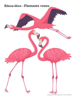 Éduca-déco-Flamants roses-1