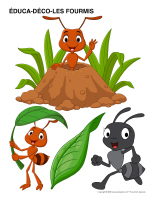 Educa-deco-Fourmis-1
