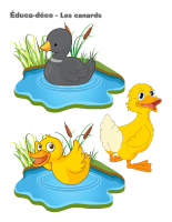 Éduca-déco-Les canards Éduca-déco-Les canards