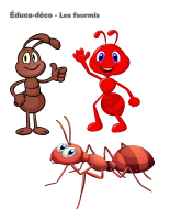 Éduca-déco-Les fourmis Éduca-déco-Les fourmis