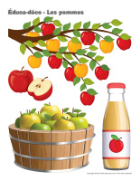 Éduca-déco-Les pommes-1
