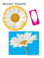 Éduca-déco-Marguerites-1