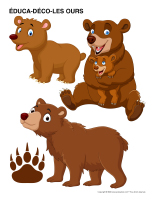 &Eacute;duca-d&eacute;co-Ours-1