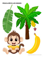 Éduca-déco-Singes-2