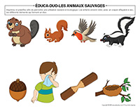 Éduca-duo-Animaux sauvages