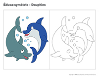 Éduca-symétrie-Dauphins