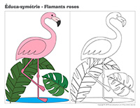 Éduca-symétrie-Flamants roses