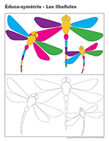 Éduca-symétrie-Les libellules