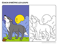 Éduca-symétrie-Loups