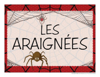Educa-theme-Araignees