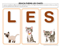 Éduca-thème-Chats